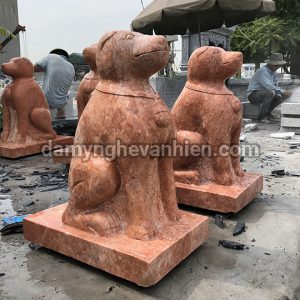 Chó đá xanh đen 3